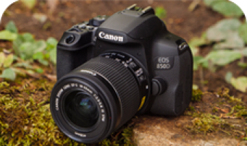 كاميرا نيكون 850D